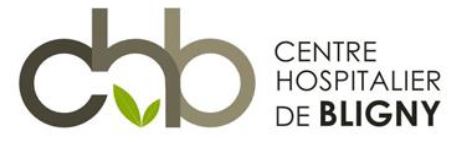 Logo CHU Bligny
